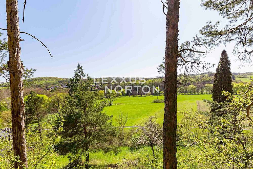 Prodej pozemku 996 m² – fotografie 5