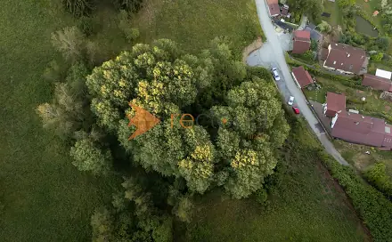Prodej lesa 3 373 m², Větřní, okres Český Krumlov