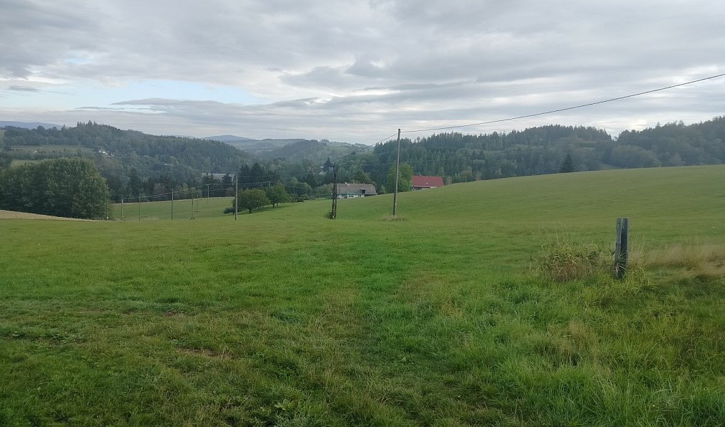 Prodej louky 15 200 m², Nekoř – náhled fotky 3
