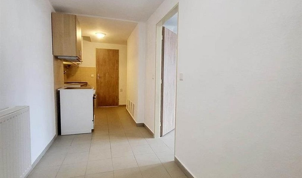 Pronájem bytu 2+1 43 m², České Budějovice – náhled fotky 3