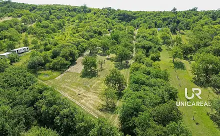 Prodej pole 3 851 m², Židlochovice, okres Brno-venkov