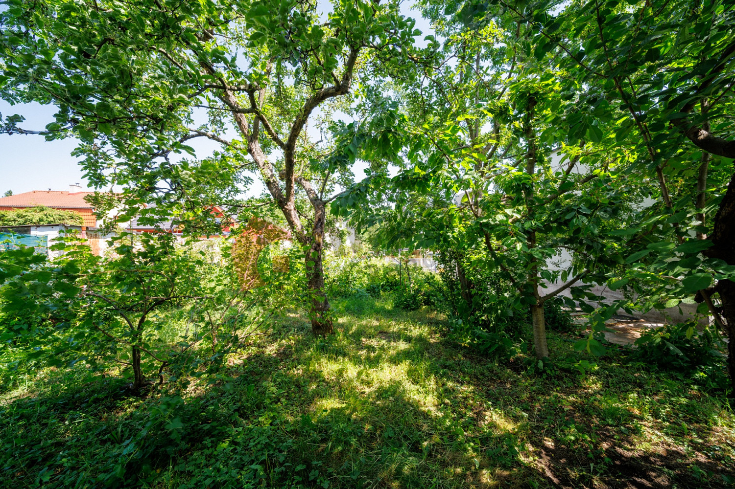 Prodej stavebního pozemku 556 m² – pohled 4