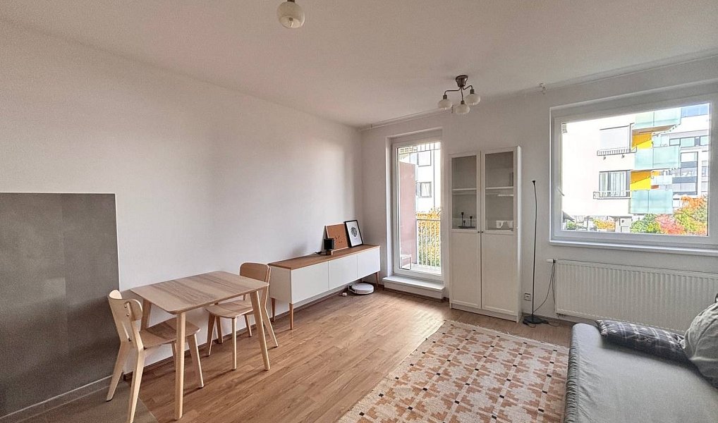 Pronájem bytu 1+kk 30 m², Praha – náhled fotky 8