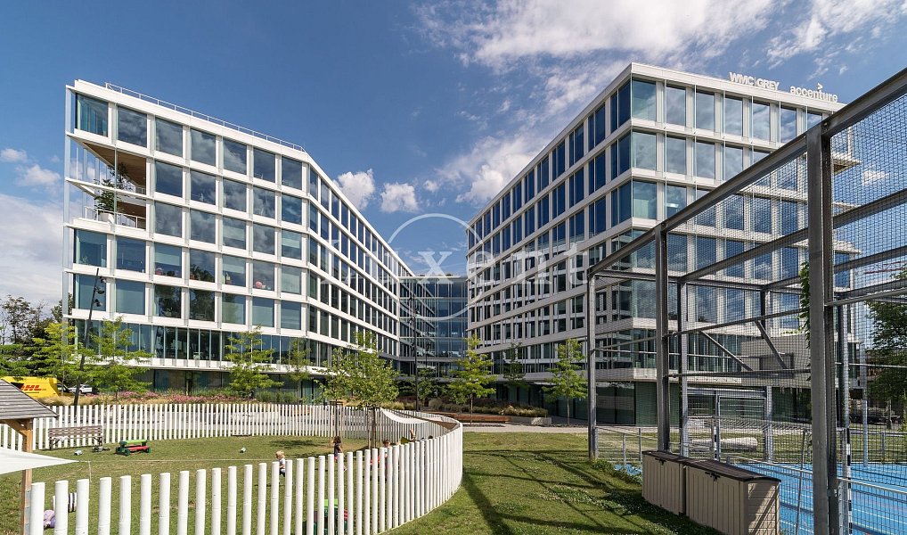 Pronájem kanceláře 648 m², Praha – náhled fotky 13