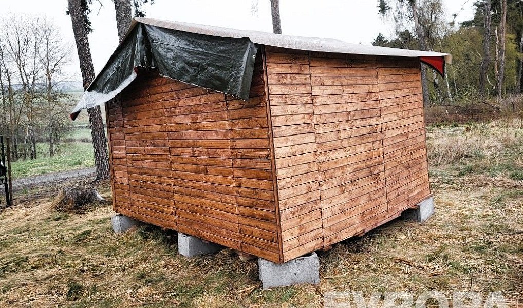 Prodej lesa 2 152 m², Břežany – náhled fotky 8