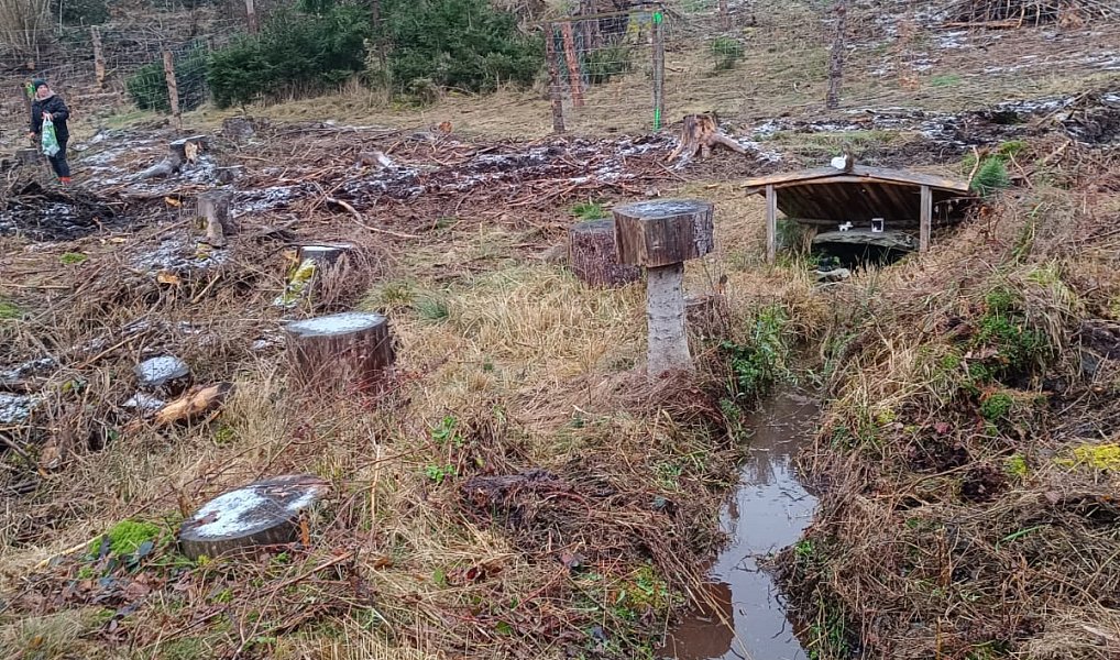 Prodej lesa 37 567 m², Vacovice – náhled fotky 9