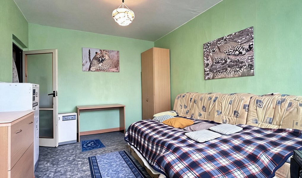 Prodej bytu 2+1 55 m², Rotava – náhled fotky 10