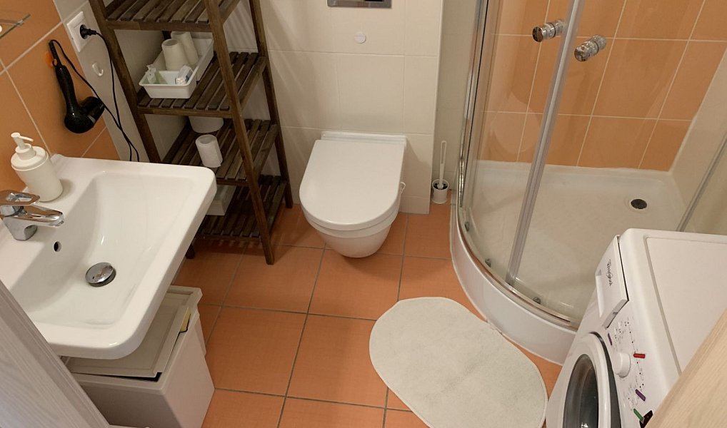 Prodej bytu 1+kk 33 m², Praha – náhled fotky 5