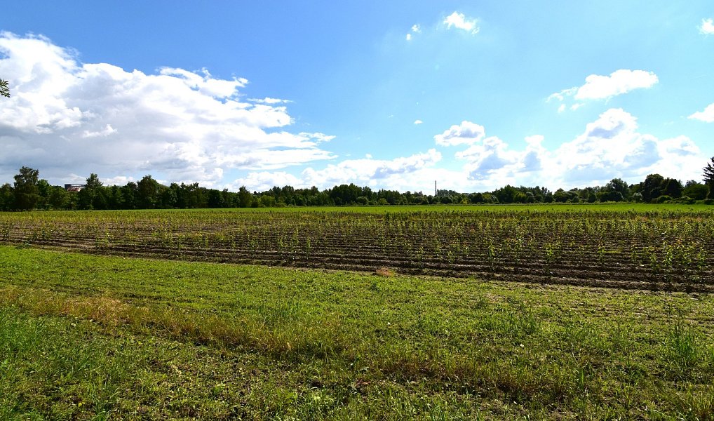 Prodej pole 36 521 m², Plzeň – náhled fotky 6