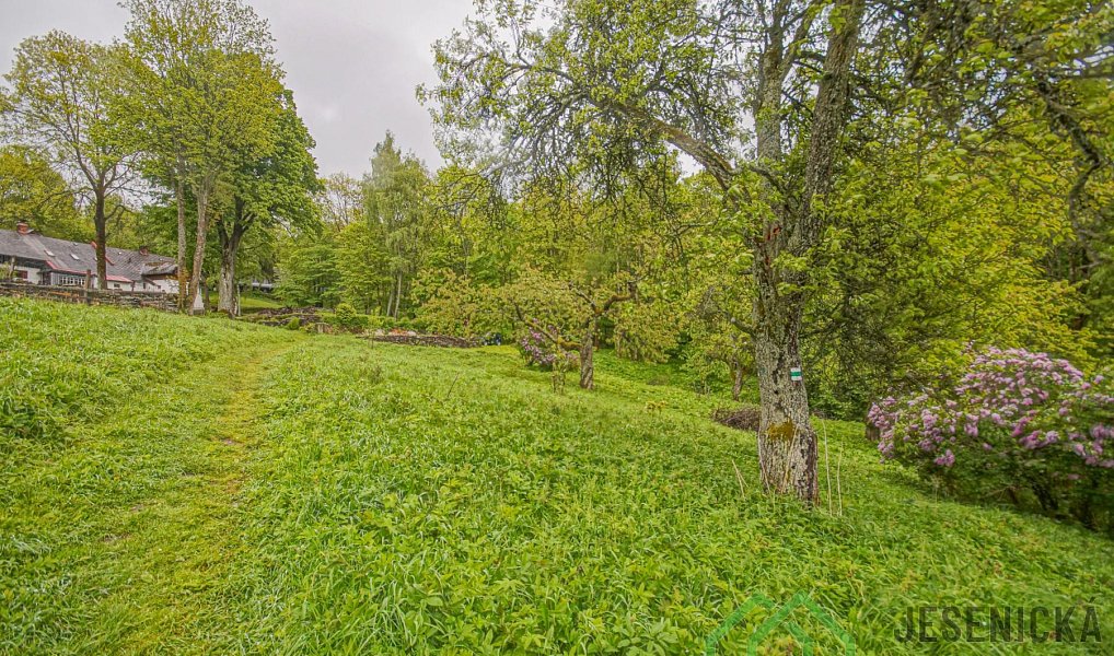 Prodej louky 2 772 m², Branná – náhled fotky 8
