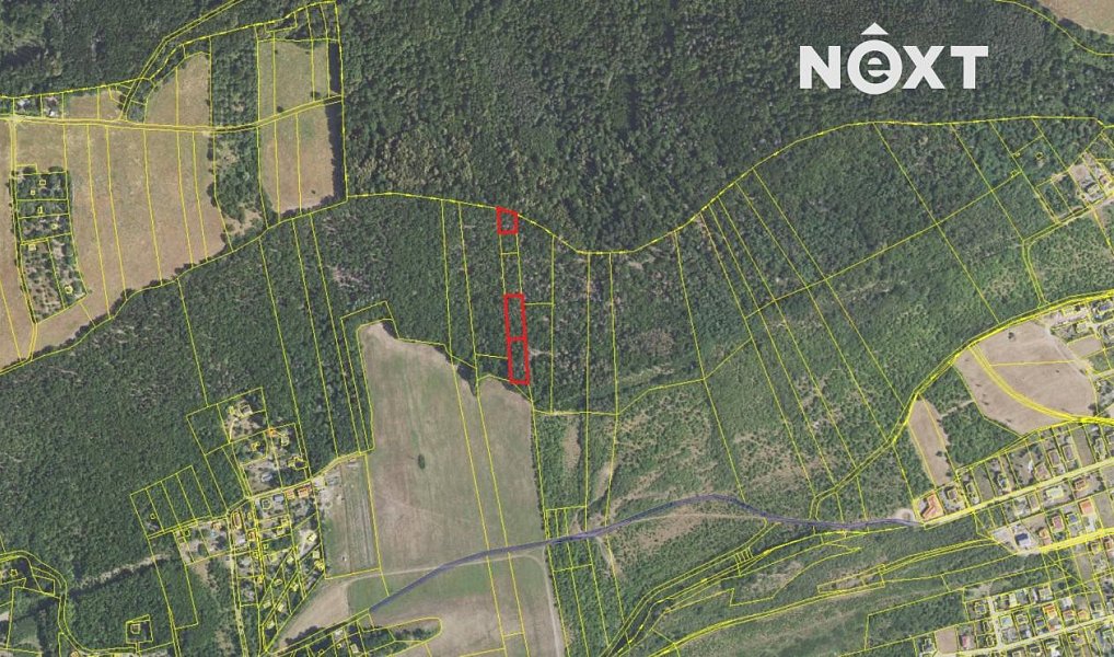Prodej lesa 3 149 m², Chrustenice – náhled fotky 4