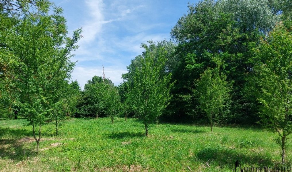 Prodej zahrady 4 845 m², Rajhrad – náhled fotky 7