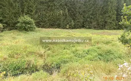 Prodej vodní plochy 261 m², Bor, okres Tachov