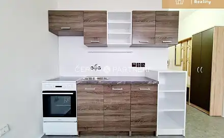 Pronájem bytu 2+kk 42 m², Železná, Ústí nad Labem - Neštěmice