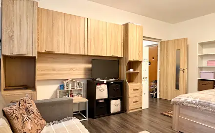 Prodej bytu 1+1 36 m², Souběžná, Brno - Židenice