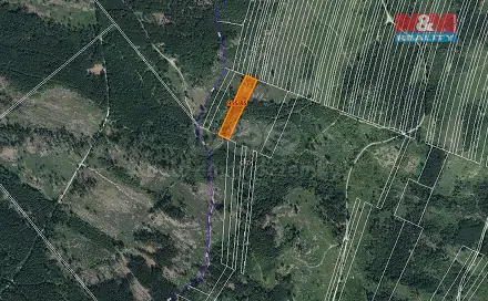 Prodej lesa 6 092 m², Nová Hradečná, okres Olomouc