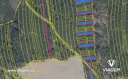 Prodej lesa 2 599 m², Koloveč, okres Domažlice