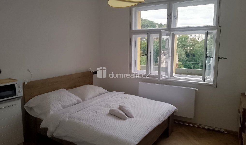 Pronájem bytu 1+kk 20 m², Karlovy Vary – náhled fotky 5