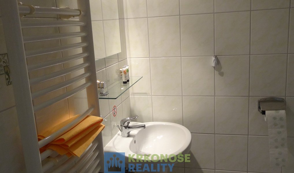 Prodej domu 272 m² s pozemkem 650 m², Žacléř – náhled fotky 22