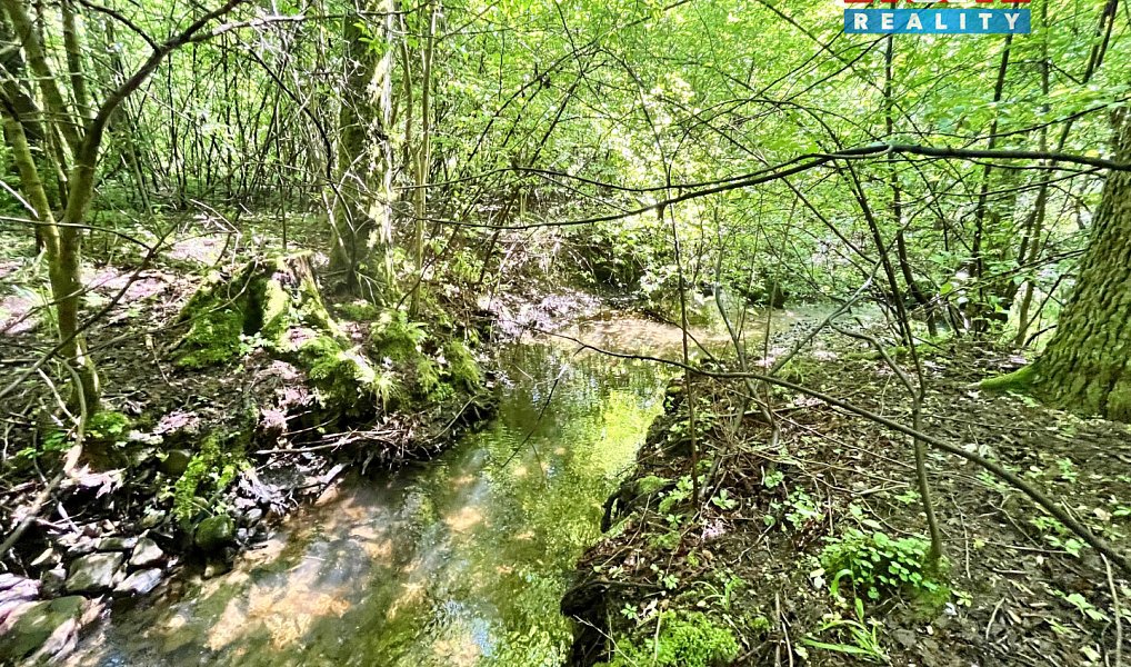 Prodej vodní plochy 3 255 m², Skalice u České Lípy – náhled fotky 21