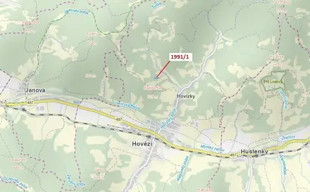 Dražba lesa 2 438 m², Hovězí