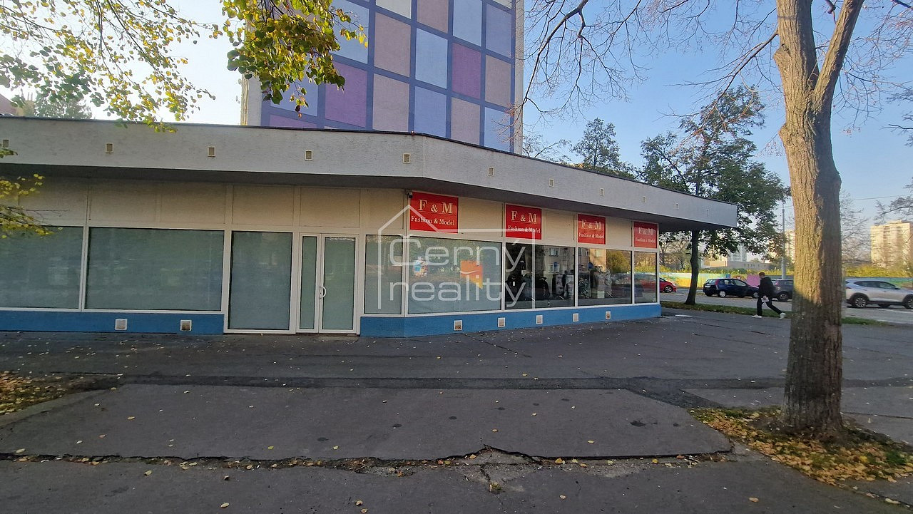 Pronájem obchodních prostor 465 m² – fotografie 4