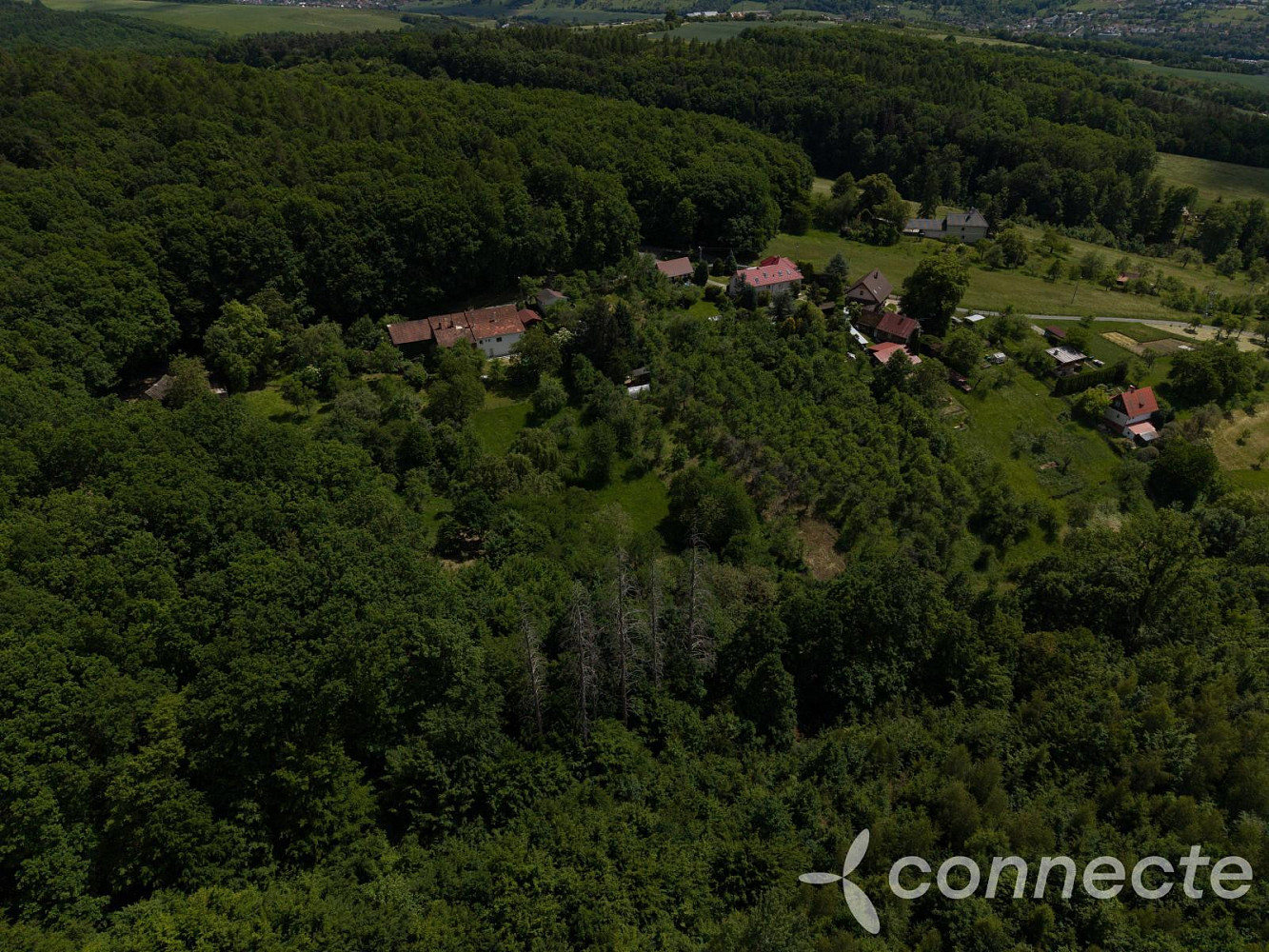 Prodej louky 3 131 m² — photo 5