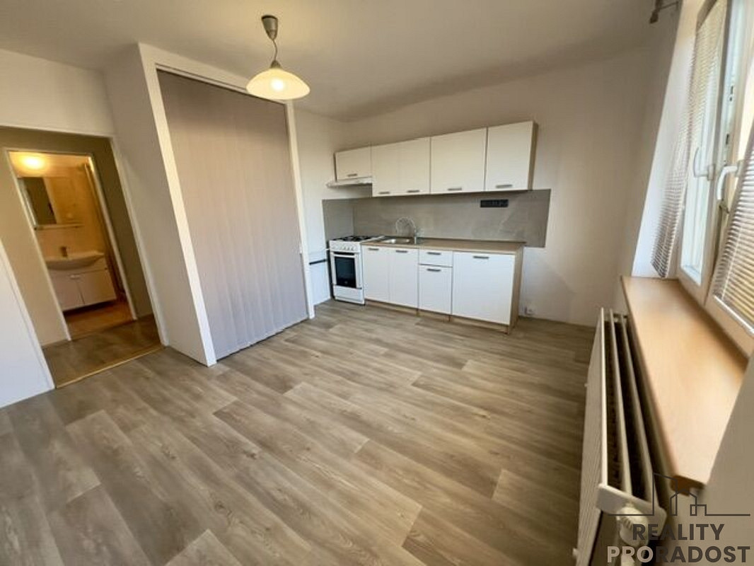 Pronájem bytu 1+1 35 m²