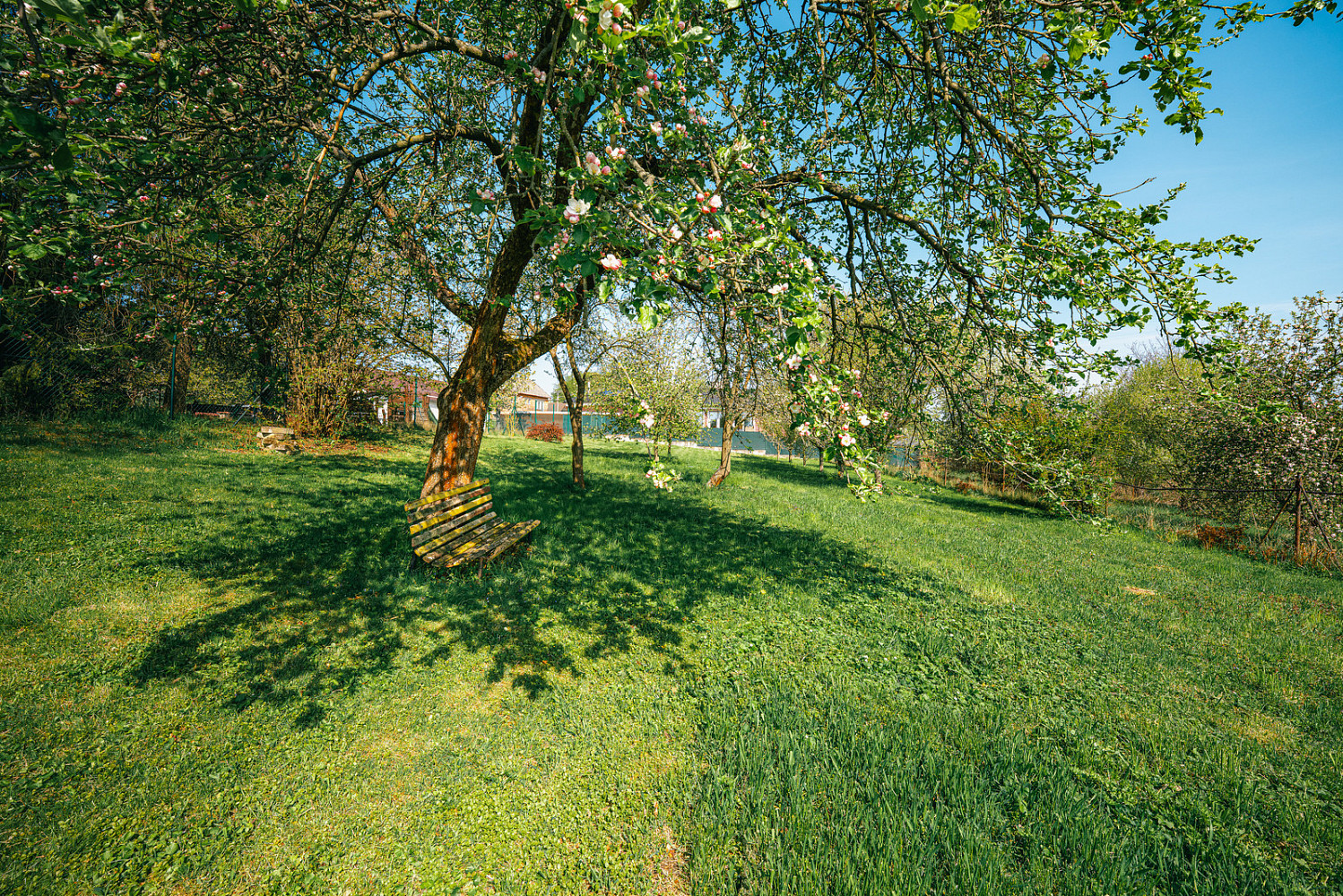 Prodej zahrady 1 301 m² — photo 4