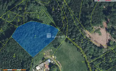 Prodej lesa 4 773 m², Semily - Bítouchov