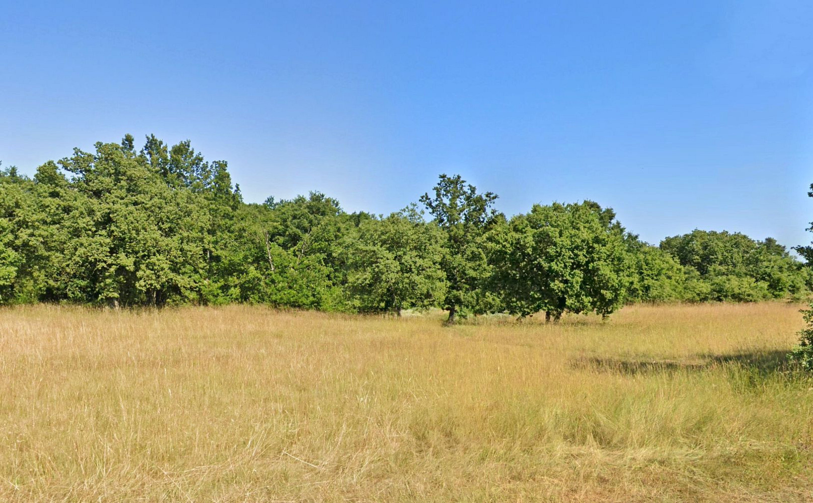 Prodej stavebního pozemku 5 380 m²