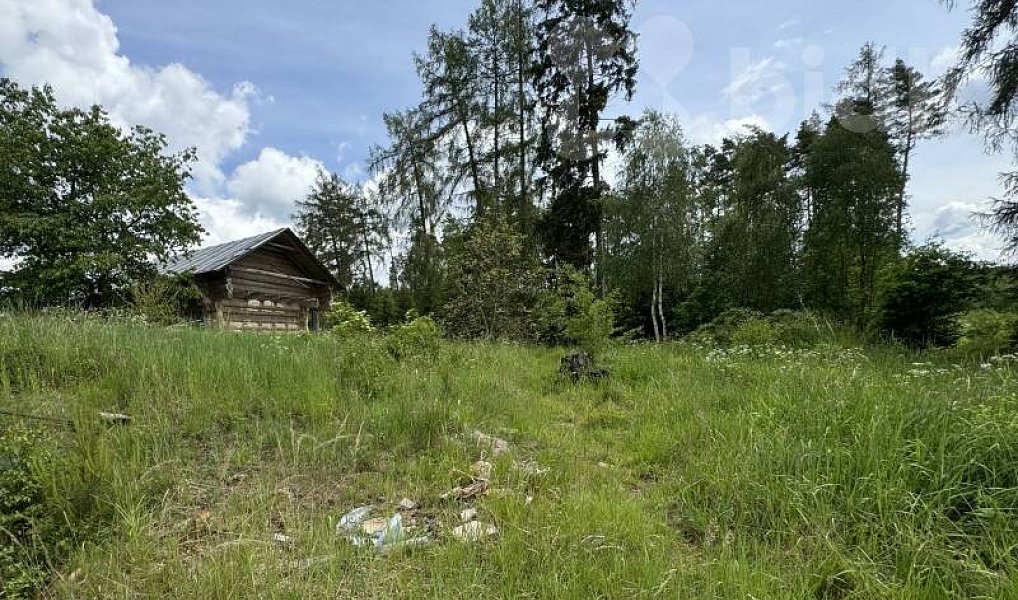 Prodej stavebního pozemku 11 500 m², Šebířov – náhled fotky 5