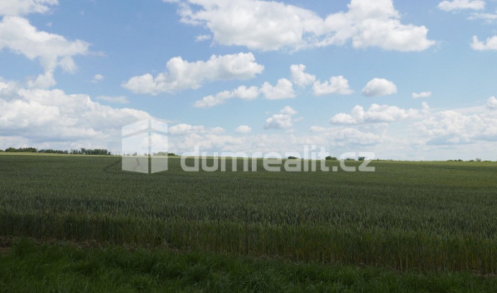 Prodej pole 11 679 m², Dolní Bousov – náhled fotky 5