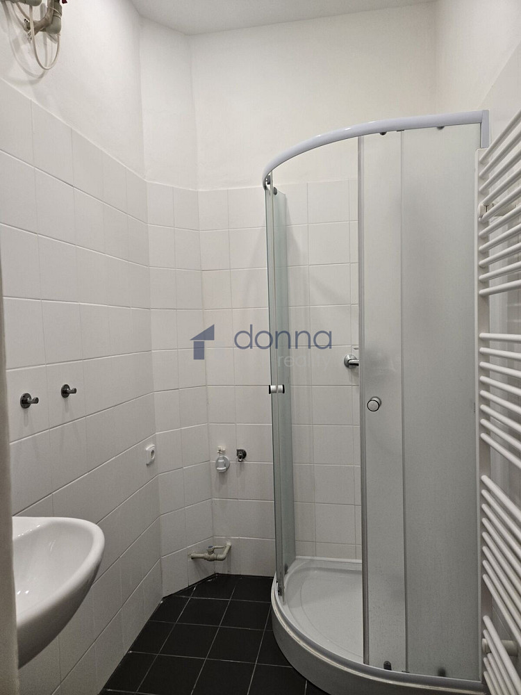 Pronájem bytu 1+kk 30 m² – fotografie 5