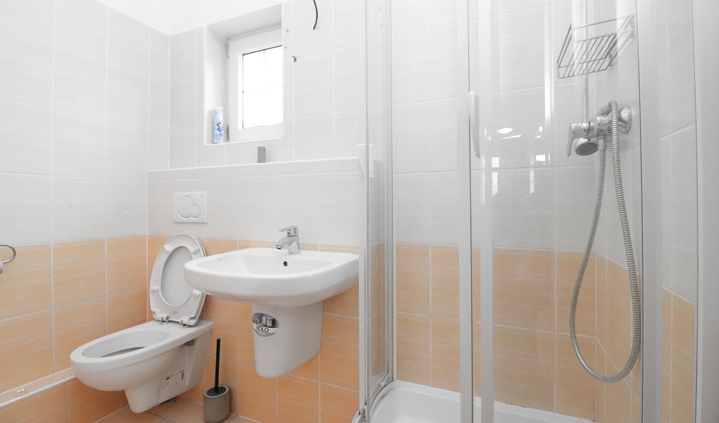 Prodej domu 135 m² s pozemkem 161 m², Jihlava – náhled fotky 9