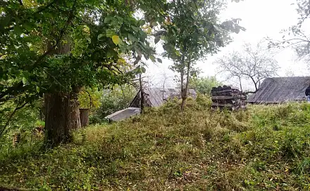 Prodej chaty/chalupy 62 m² s pozemkem 10 000 m², Čadca, Slovensko