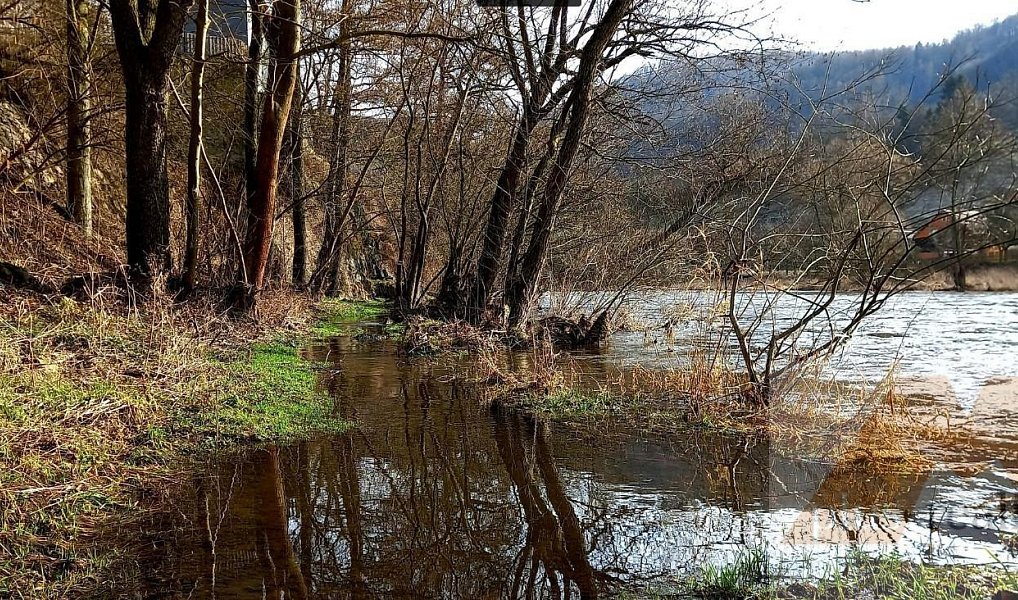 Prodej louky 14 838 m², Stráž nad Ohří – náhled fotky 6