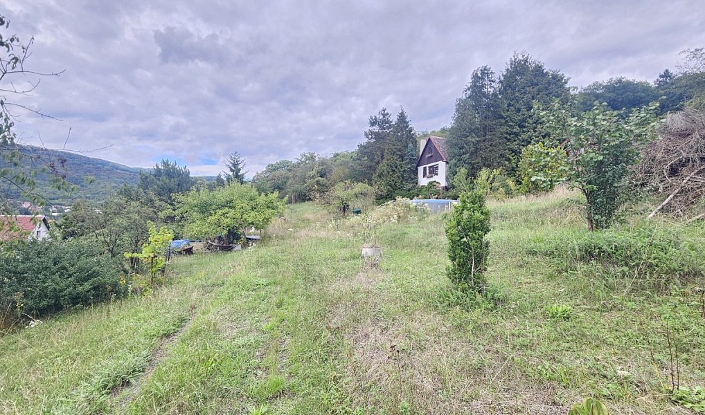 Prodej chaty/chalupy 40 m² s pozemkem 1 098 m², Ústí nad Labem – náhled fotky 15