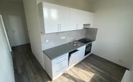 Pronájem bytu 2+1 53 m², Dvouletky, Ostrava - Hrabůvka