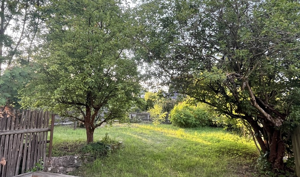 Prodej domu 250 m² s pozemkem 549 m², Krásno – náhled fotky 30