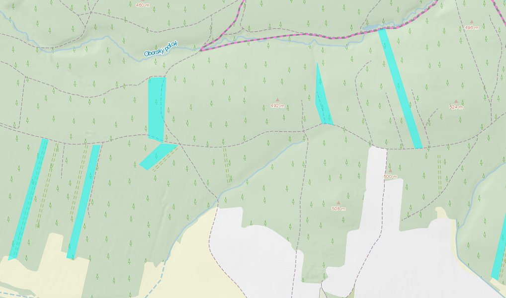 Prodej lesa 309 882 m², Jetětice – náhled fotky 4