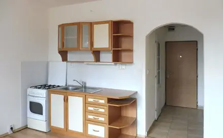 Pronájem bytu 1+1 35 m², Skalková, Chomutov