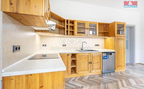 Pronájem bytu 4+1 120 m², Borská, Zákupy, okres Česká Lípa