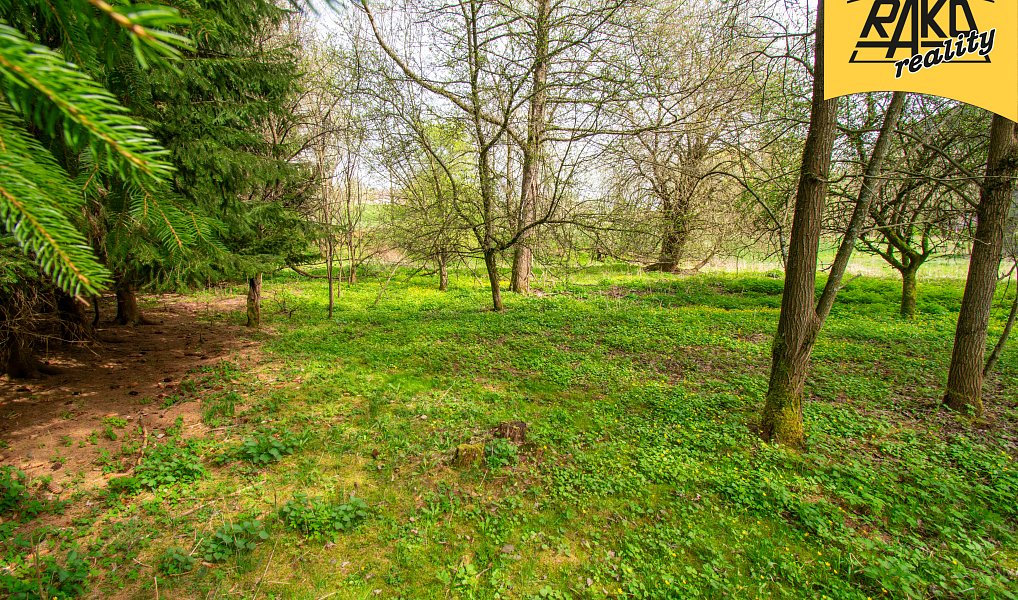 Prodej stavebního pozemku 4 486 m², Mladé Buky – náhled fotky 4