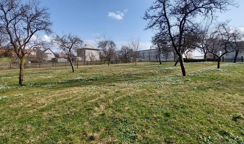 Prodej stavebního pozemku 1 563 m², Lešná – náhled fotky 13