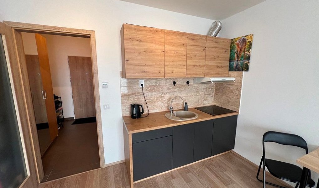 Prodej bytu 1+kk 42 m², Praha – náhled fotky 18