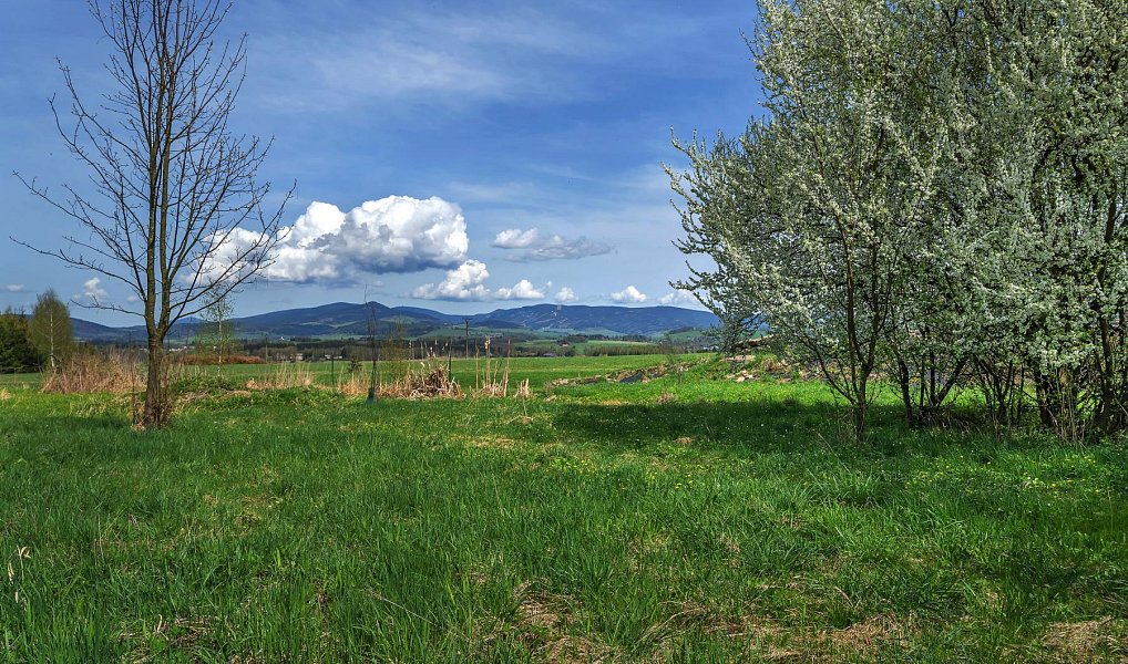 Prodej chaty/chalupy 254 m² s pozemkem 1 921 m², Králíky – náhled fotky 6