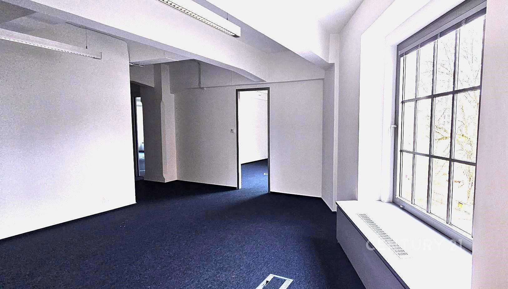 Pronájem kanceláře 653 m² – fotografie 4