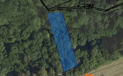 Prodej lesa 541 m², Kořenec, okres Blansko