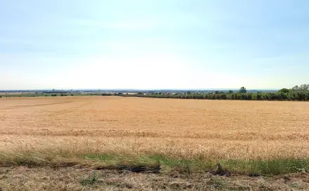 Prodej pole 29 414 m², Olomouc - Droždín